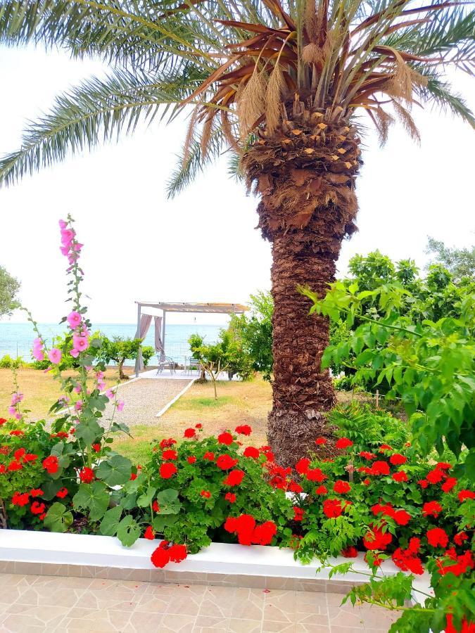 Villa Stella Family House Πεύκος Εξωτερικό φωτογραφία