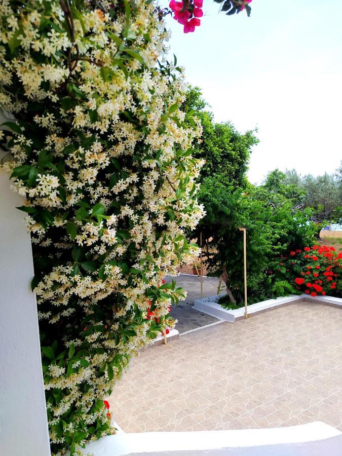 Villa Stella Family House Πεύκος Εξωτερικό φωτογραφία